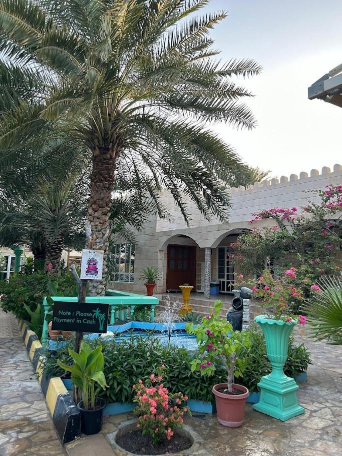 Valley Cliff Farm stay Nizwa